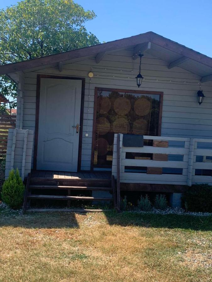 Домики У Лизы Под Ключ Pizunda Exterior photo