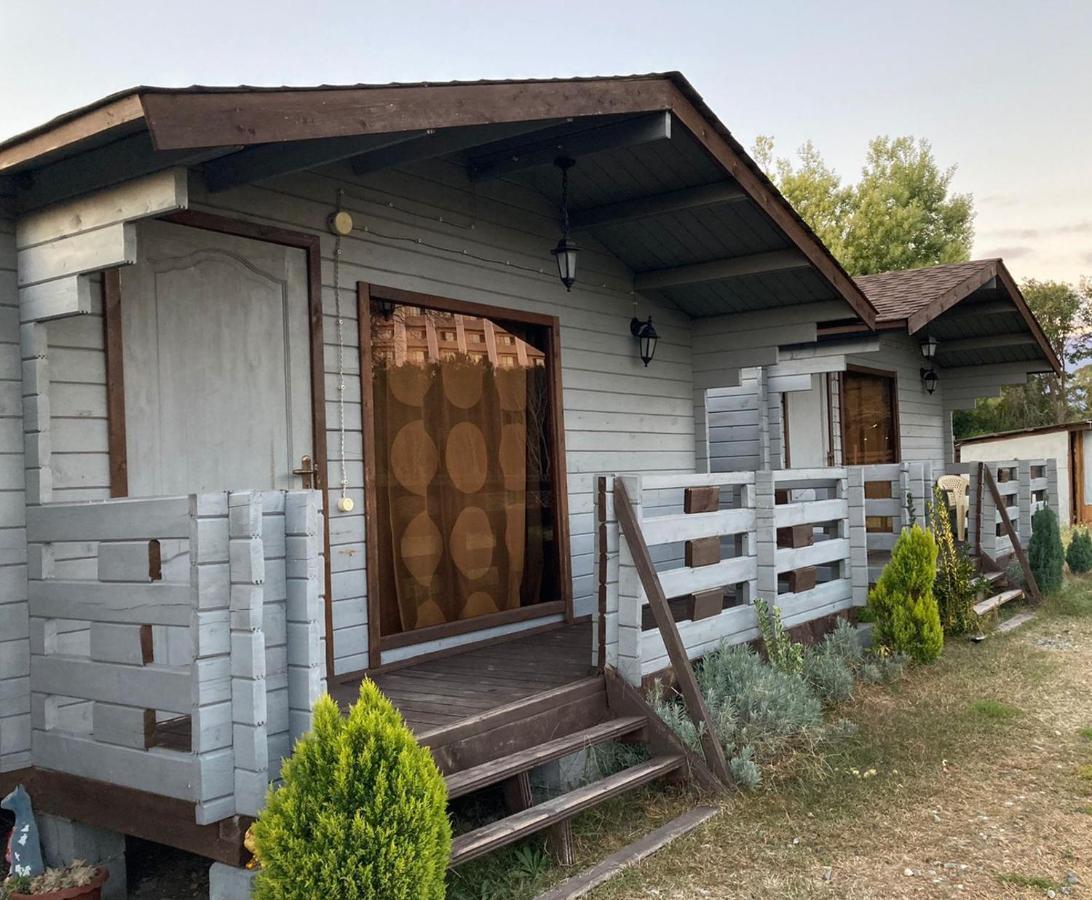 Домики У Лизы Под Ключ Pizunda Exterior photo