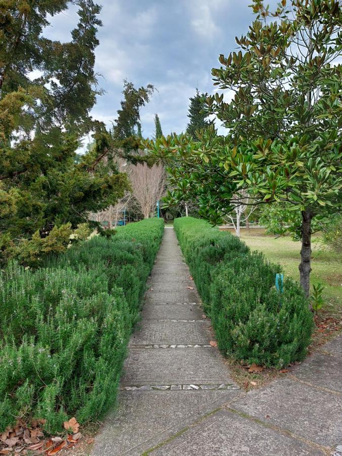 Домики У Лизы Под Ключ Pizunda Exterior photo