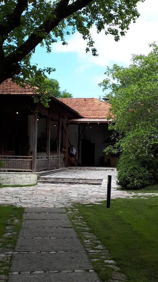 Домики У Лизы Под Ключ Pizunda Exterior photo